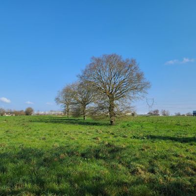 NOUV-Hauts-Lande_09
